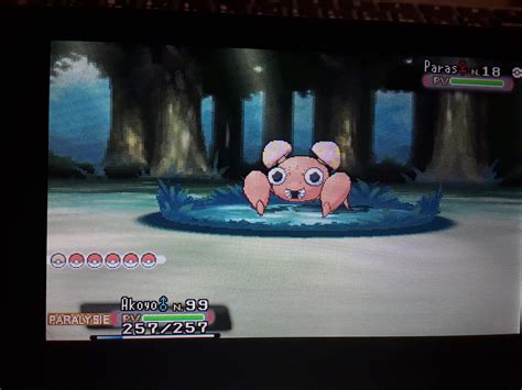 paras smogon|After You .